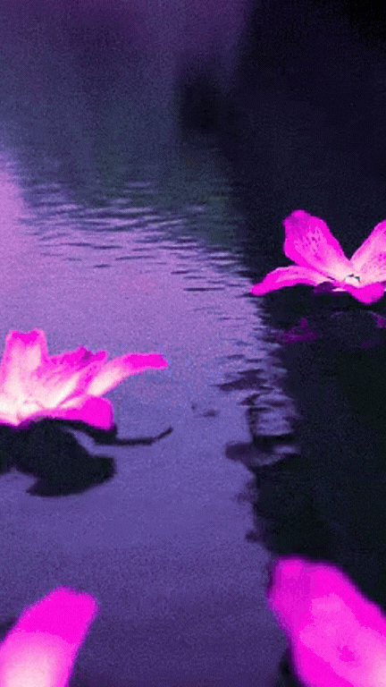 Next Day Delivery (Add-On)