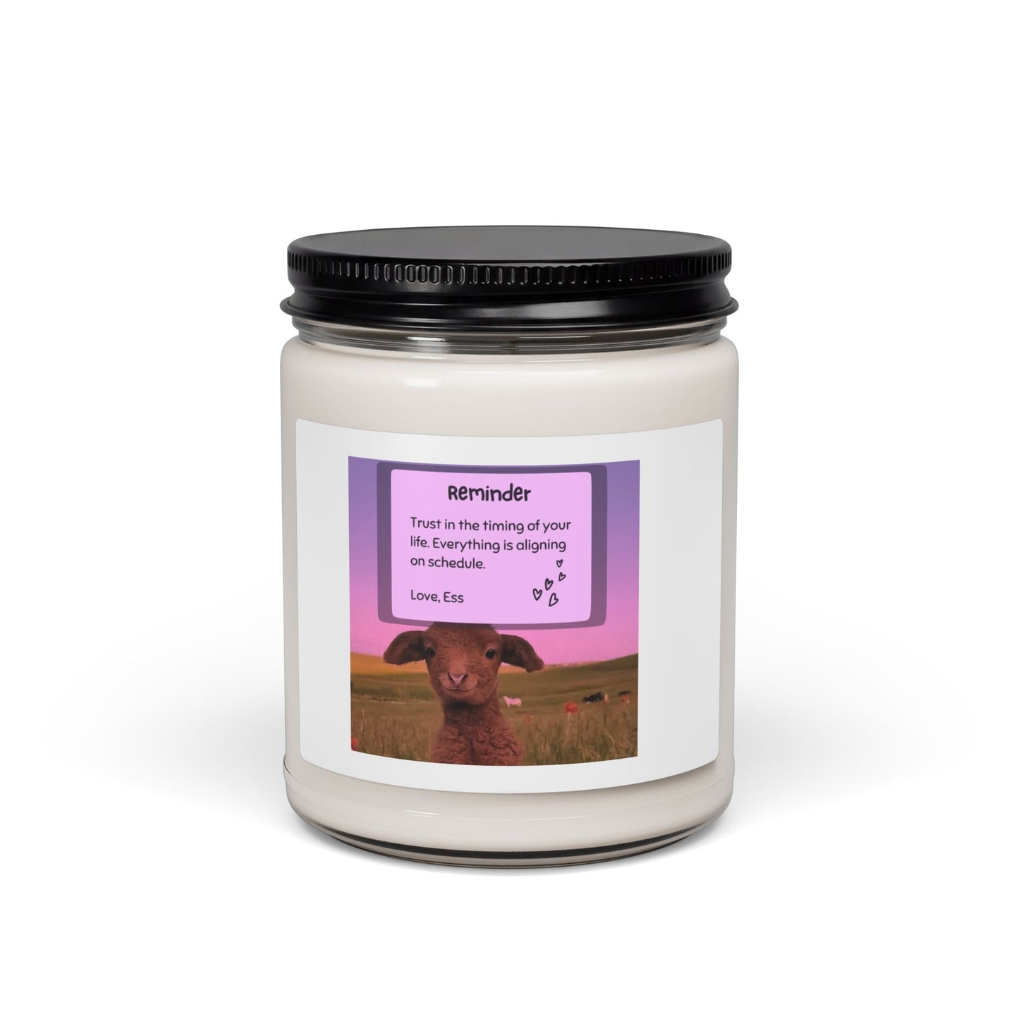 Scented Soy Candle, 9oz