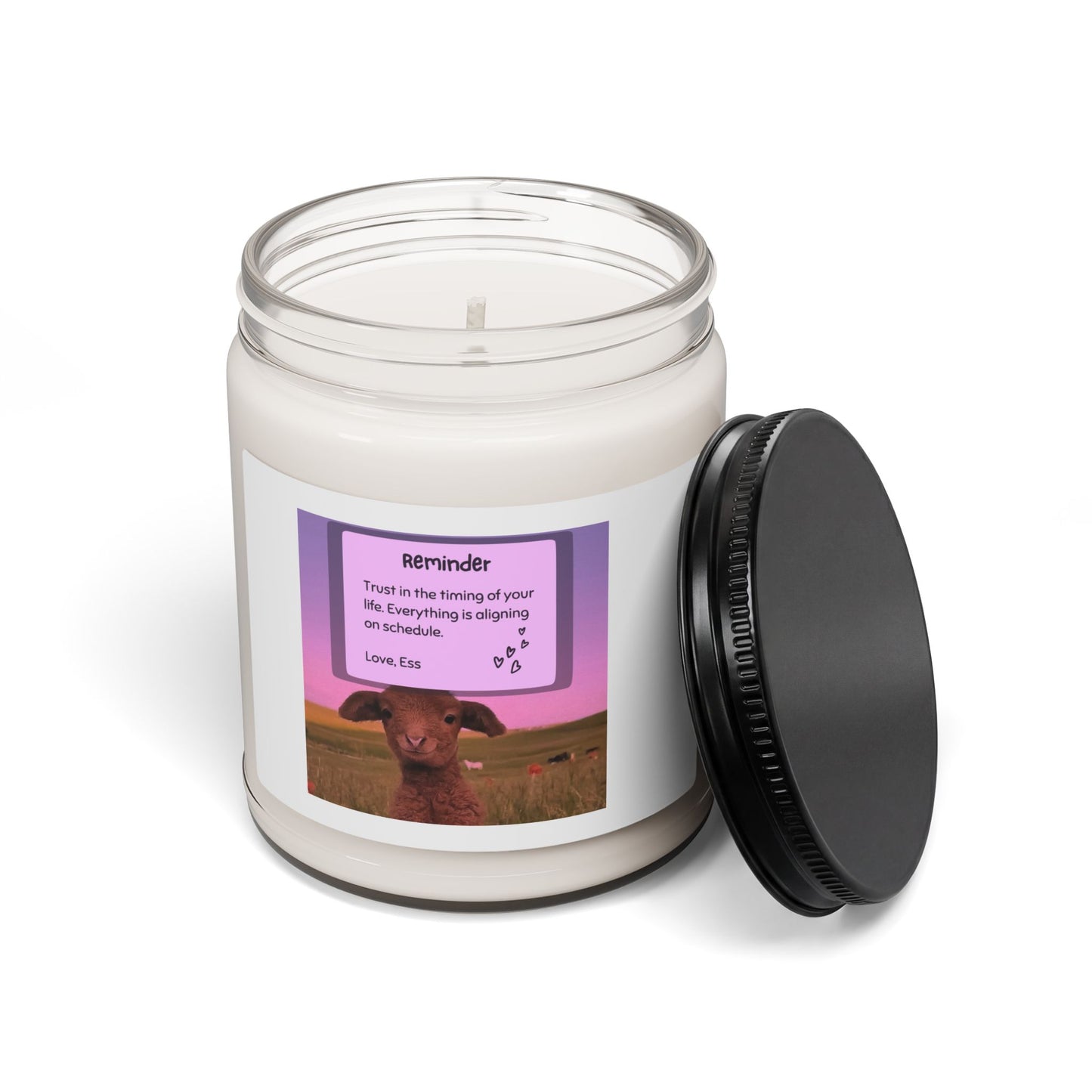 Scented Soy Candle, 9oz