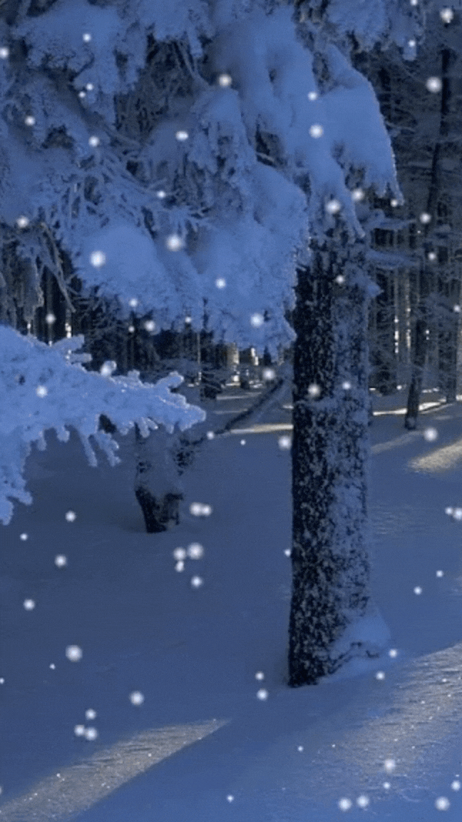 Next Day Delivery (Add-On)